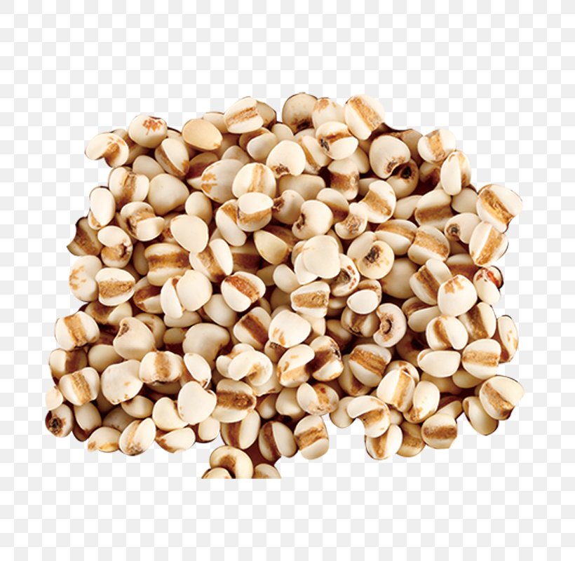 Adlay Barley Seed, PNG, 800x800px, Adlay, Barley, Cereal, Coix, Coix Lacrymajobi Download Free