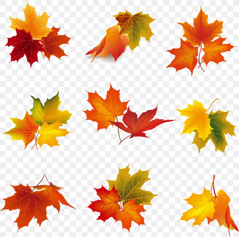 Autumn Leaf Color Clip Art, PNG, 1422x1416px, Autumn, Autumn Leaf Color, Berry, Flower, Flowering Plant Download Free