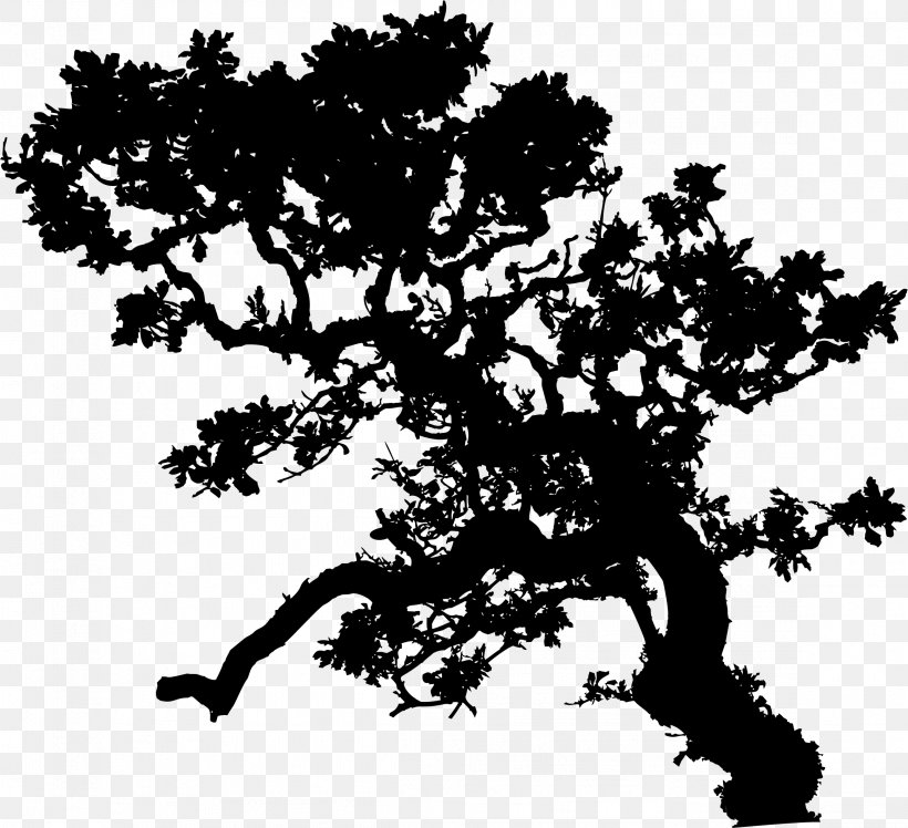 Branch Tree Leaf Clip Art, PNG, 2322x2119px, Branch, Black And White, Bonsai, Deciduous, Ecology Download Free