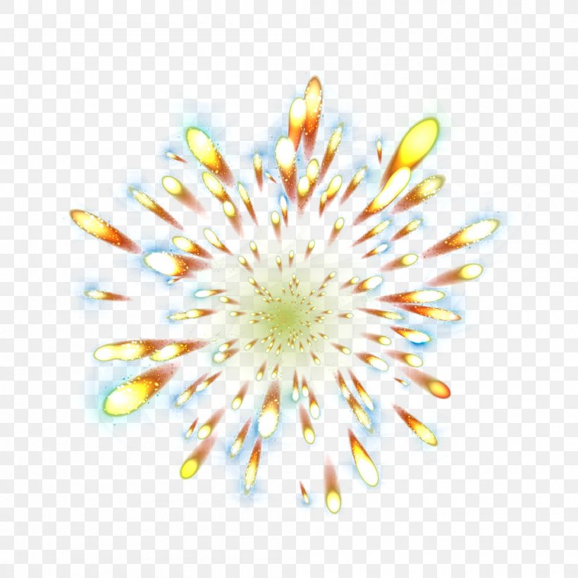 Fireworks, PNG, 1000x1000px, Fireworks, Decorative Arts, Designer, Flora, Floral Design Download Free