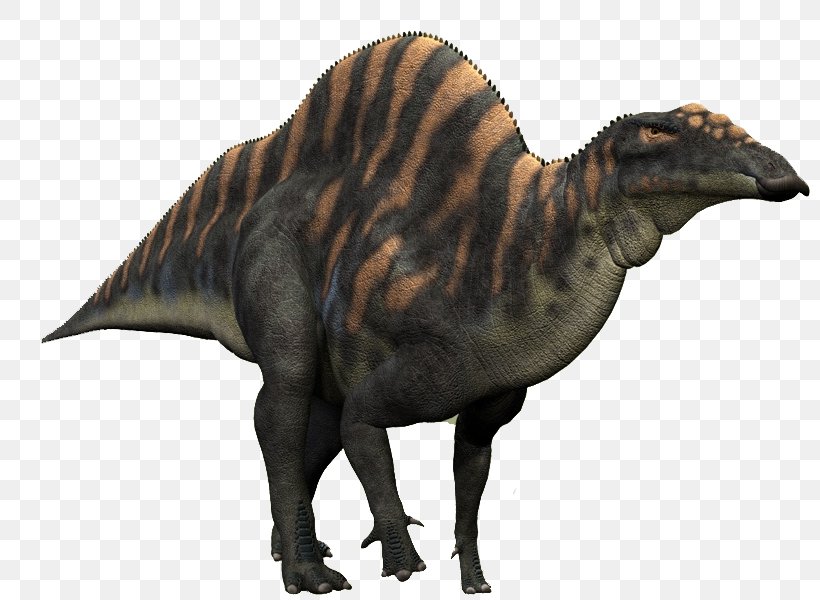 Ouranosaurus Camptosaurus Spinosaurus Iguanodon Late Cretaceous, PNG, 809x600px, Ouranosaurus, Aptian, Camptosaurus, Cretaceous, Dinosaur Download Free