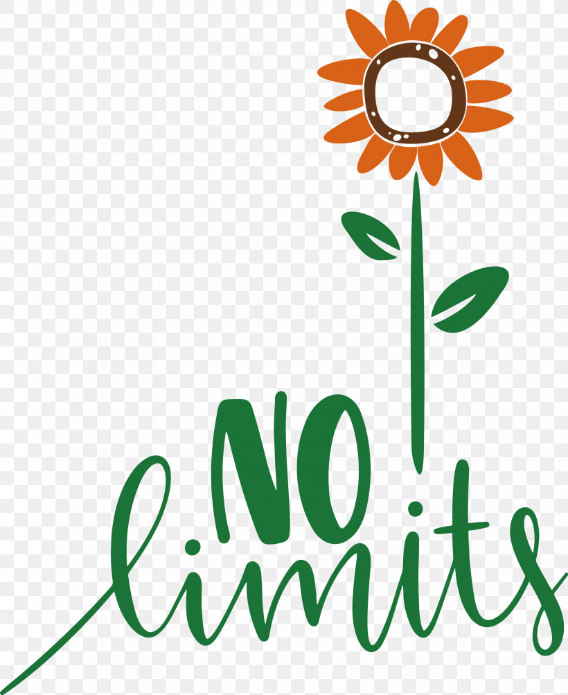 No Limits Dream Future, PNG, 2452x3000px, No Limits, Cut Flowers, Dream, Flora, Flower Download Free