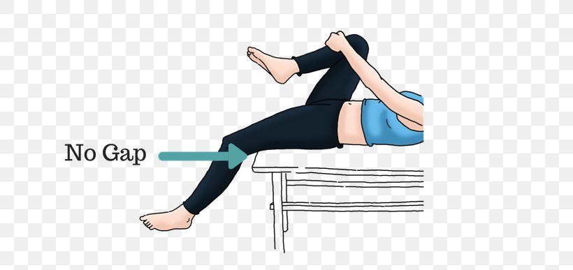 Pelvic Tilt Pelvis Stretching Hip Spinal Disc Herniation, PNG, 740x387px, Watercolor, Cartoon, Flower, Frame, Heart Download Free