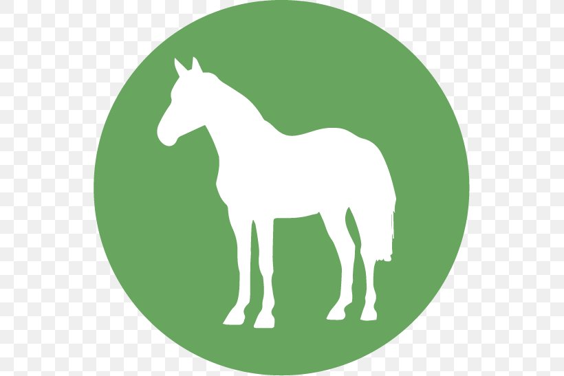 Foal Mustang Stallion Horse Blanket Colt, PNG, 547x547px, Foal, Bridle, Colt, Equestrian, Etsy Download Free