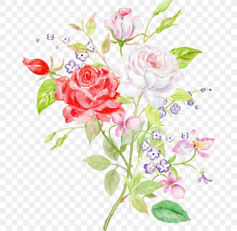 Garden Roses Floral Design Flower, PNG, 667x800px, Garden Roses, Art, Artwork, Branch, Cut Flowers Download Free