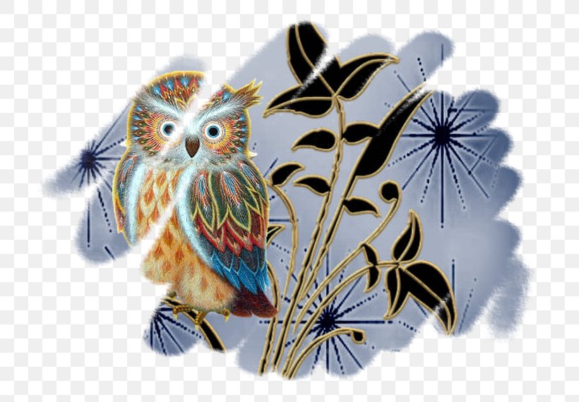 Owl Beak Feather Fauna, PNG, 760x570px, Owl, Beak, Bird, Bird Of Prey, Fauna Download Free