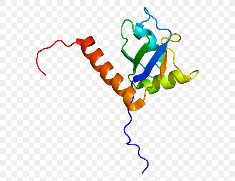 Single-stranded Binding Protein Sjögren Syndrome Antigen B, PNG, 618x634px, Singlestranded Binding Protein, Antigen, Area, Artwork, Biochemistry Download Free