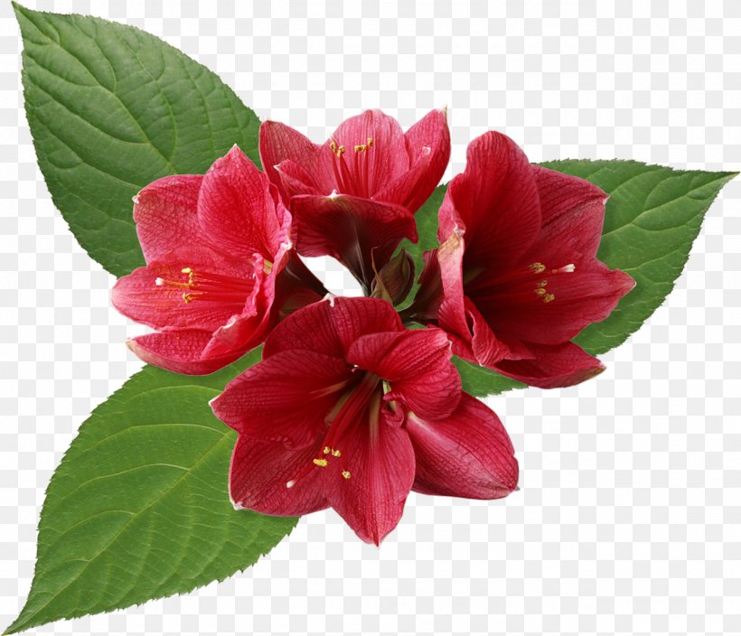 Flower Bouquet Red Leaf, PNG, 1280x1099px, Flower, Azalea, Blossom, Blume, Color Download Free