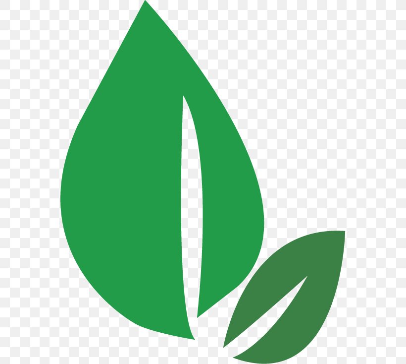 Logo Leaf Angle Font Brand, PNG, 576x734px, Logo, Brand, Grass, Green, Leaf Download Free