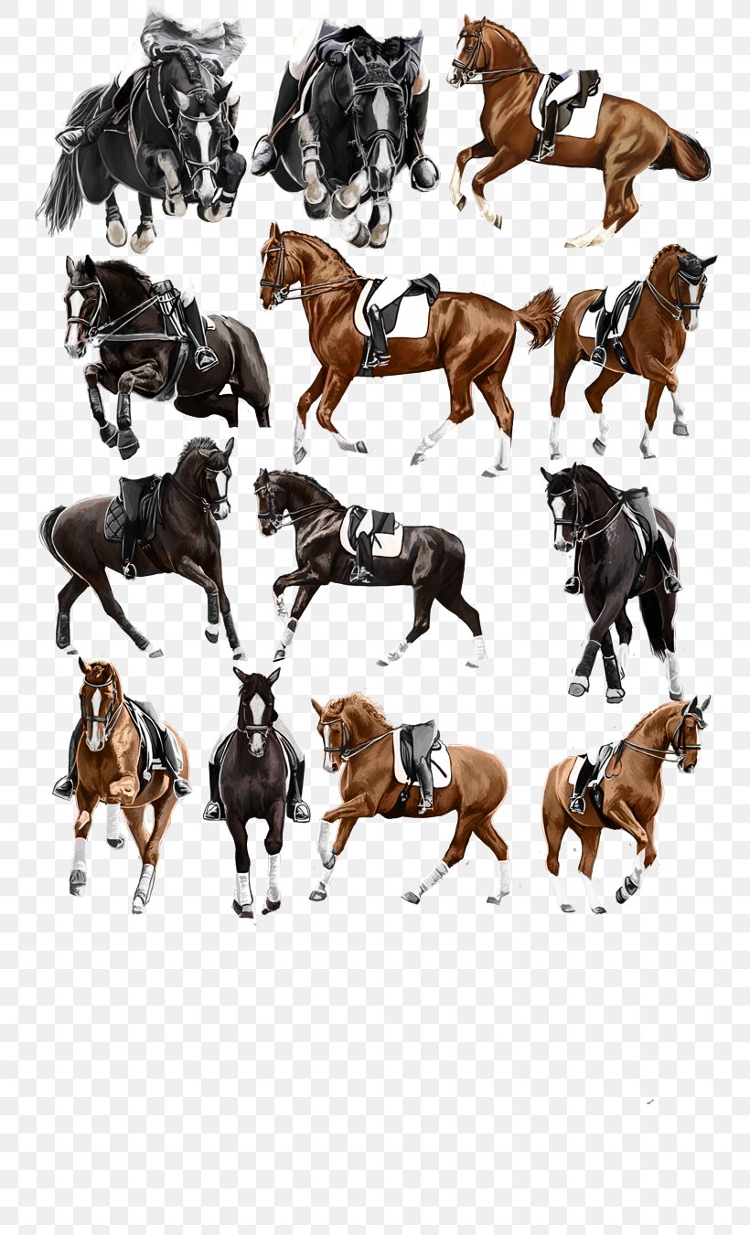 Mustang Stallion Horse Tack Freikörperkultur Pack Animal, PNG, 750x1351px, Mustang, Horse, Horse Like Mammal, Horse Tack, Liverpool Fc Download Free
