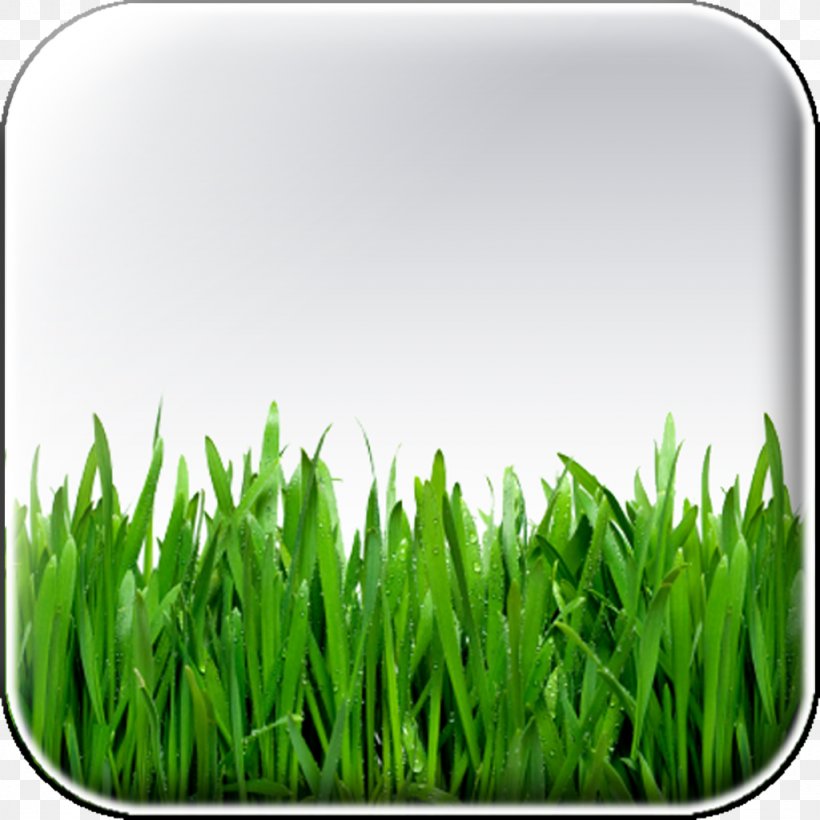 Artificial Turf Lawn House Mower Fence, PNG, 1024x1024px, Artificial Turf, Backyard, Commodity, Fence, Garden Download Free
