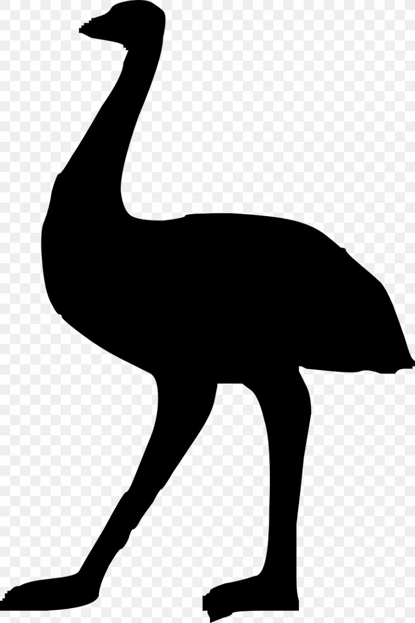 Australia Silhouette Common Ostrich Emu Clip Art, PNG, 852x1280px, Australia, Animal, Artwork, Beak, Bird Download Free