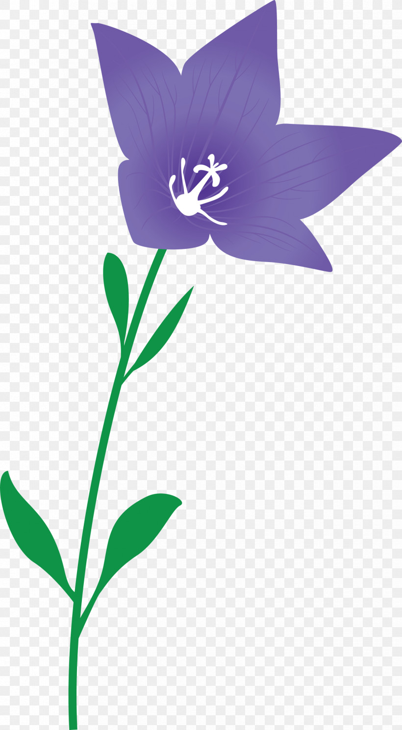 Balloon Flower, PNG, 1650x3000px, Balloon Flower, Flora, Flower, Herbaceous Plant, Leaf Download Free