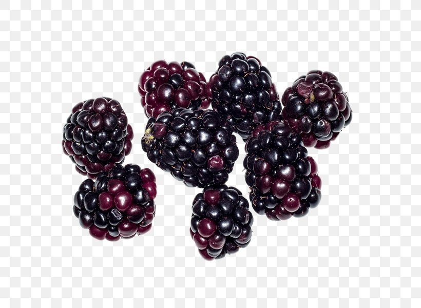 Boysenberry Loganberry Tayberry Blackberry Food, PNG, 600x600px, Boysenberry, Auglis, Bead, Berry, Blackberry Download Free