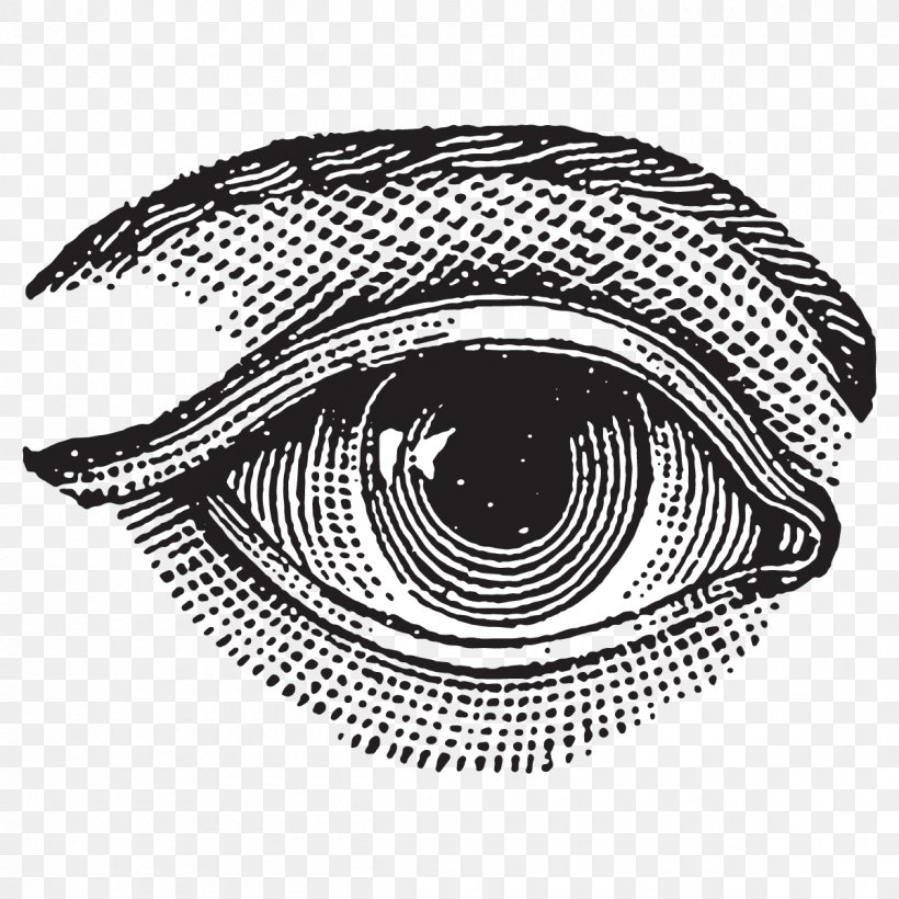 Drawing Light Eye Line Art, PNG, 1200x1200px, Drawing, Art, Black, Black And White, Contour Drawing Download Free