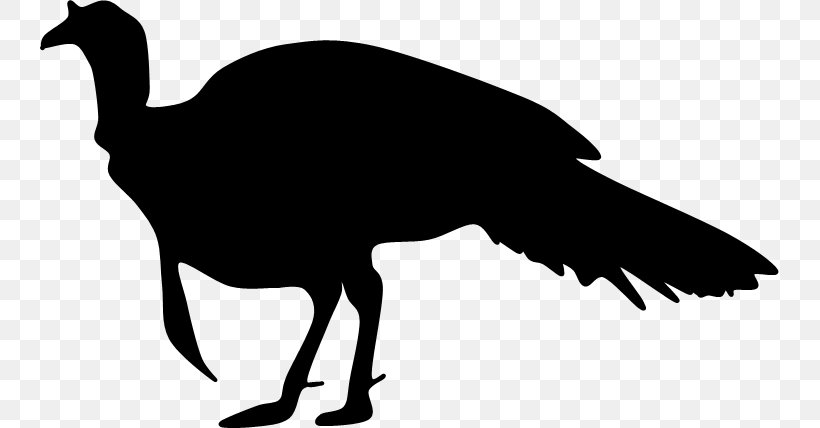 Silhouette Turkey Meat Clip Art, PNG, 739x428px, Silhouette, Artwork, Beak, Bird, Black And White Download Free