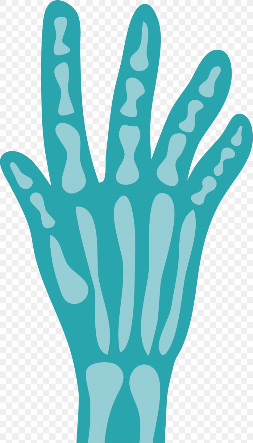 Bone Finger Skeleton, PNG, 1005x1754px, Bone, Advertising, Aqua, Finger, Glove Download Free