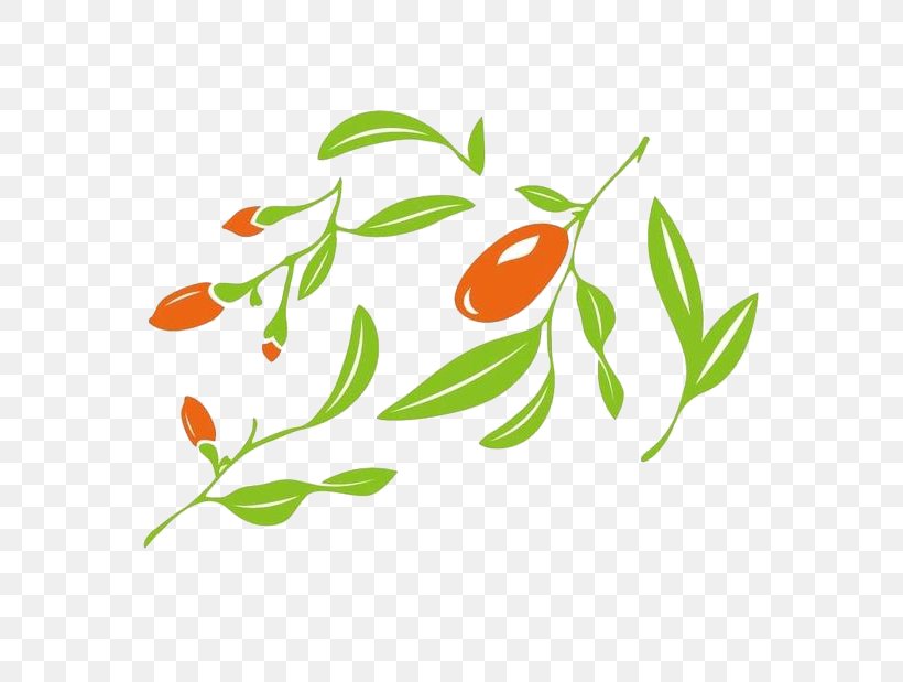 Jujube Illustration, PNG, 600x619px, Jujube, Aquatic Plant, Branch, Flora, Floral Design Download Free