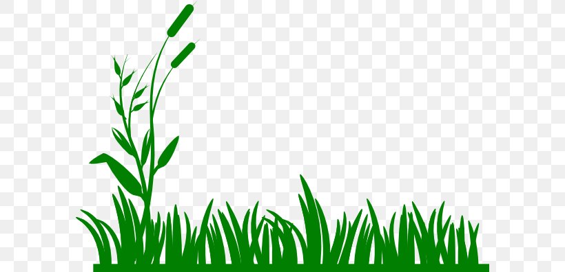 Lawn Clip Art, PNG, 600x396px, Lawn, Area, Grass, Grass Family, Grasses Download Free