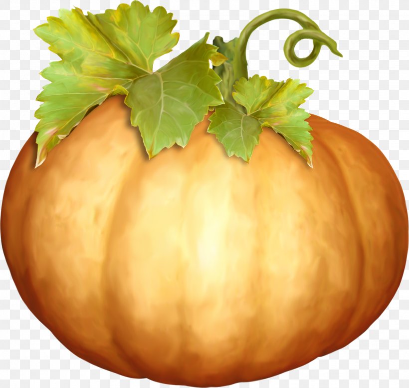 Pumpkin Halloween Vegetable Calabaza Clip Art, PNG, 1421x1347px, Pumpkin, Albom, Autumn, Blog, Calabaza Download Free