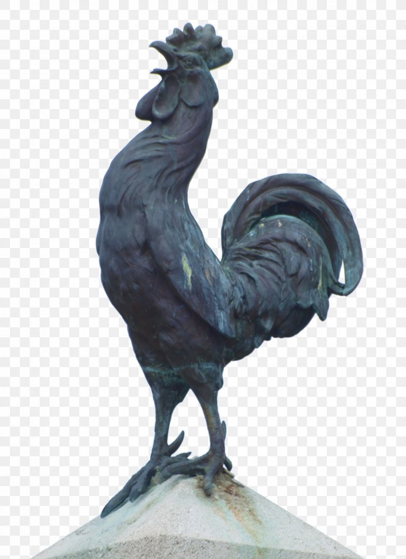 Rooster Bronze Sculpture Beak, PNG, 2271x3124px, Rooster, Beak, Bird, Bronze, Bronze Sculpture Download Free