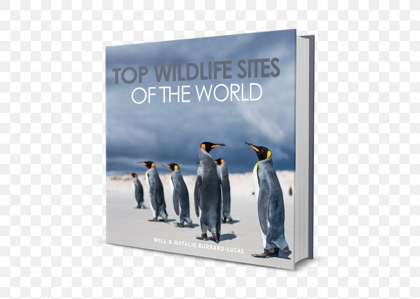 Top Wildlife Sites Of The World Wildlife Photography Leopard, PNG, 500x583px, Wildlife, Advertising, Amazoncom, Australia, Bird Download Free