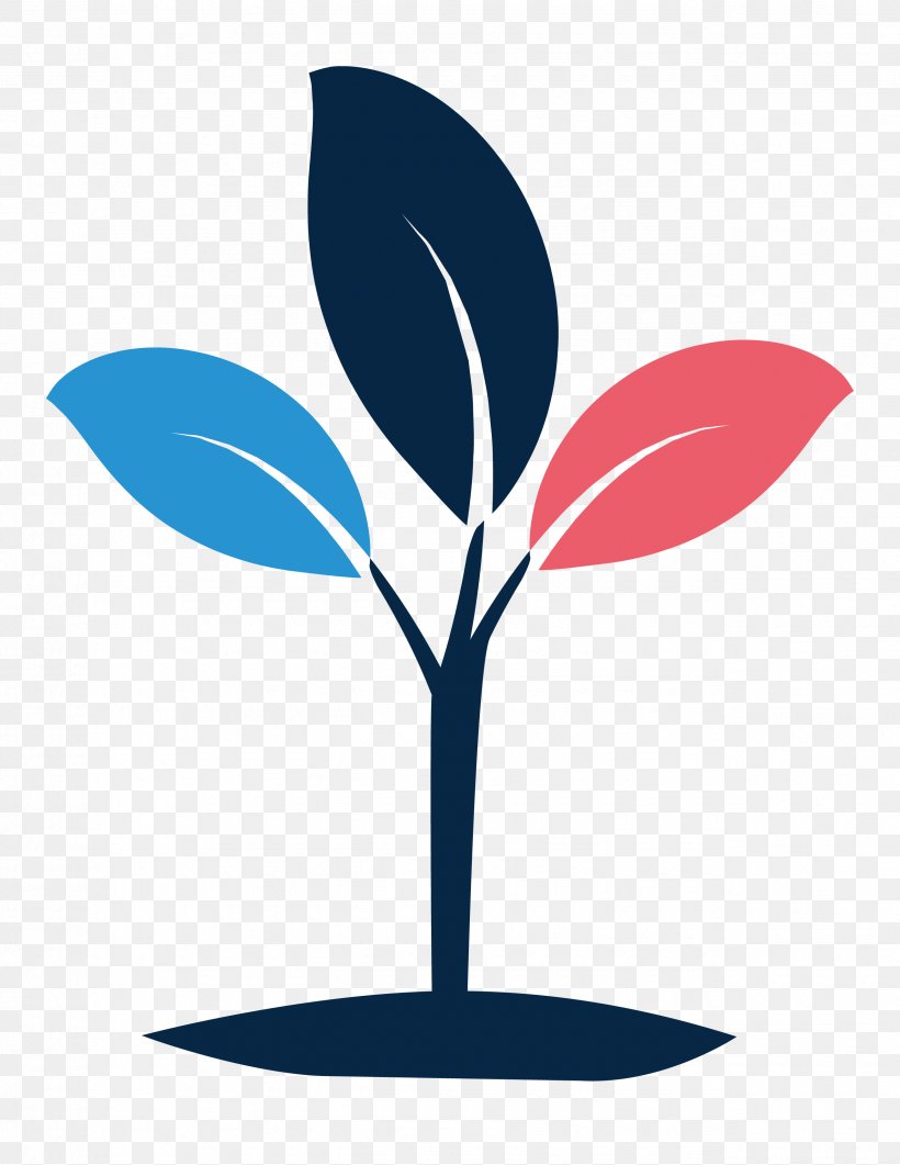 Dutch Student Investment Fund Clip Art Seed, PNG, 2550x3300px, Seed, Artwork, Flower, Investment, Leaf Download Free