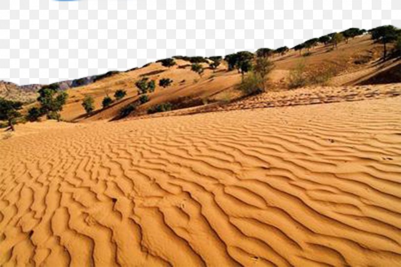 Erg Desert Sand Euclidean Vector, PNG, 1062x709px, Erg, Aeolian Landform, Borderline Personality Disorder, Desert, Dune Download Free