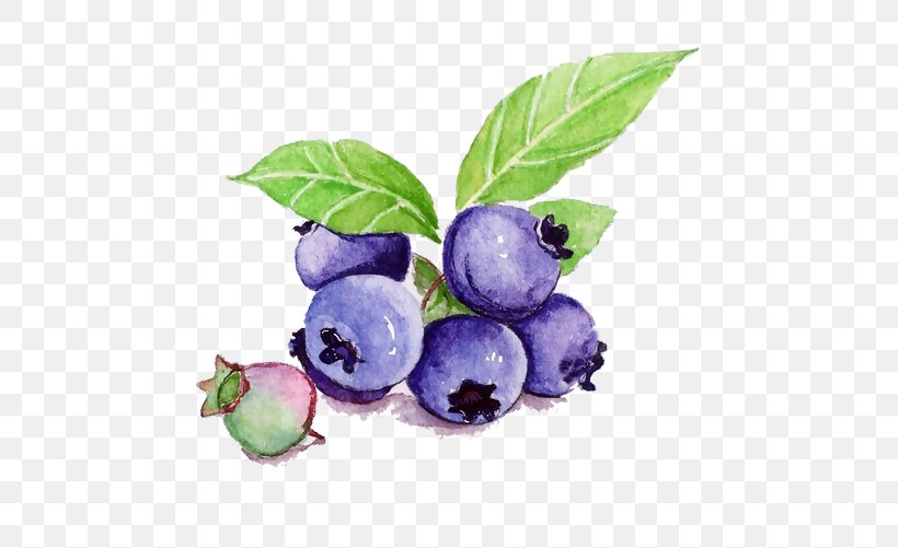 Illustration Fruit Juice Painting, PNG, 501x501px, Fruit, Art, Berry, Bilberry, Blueberry Download Free