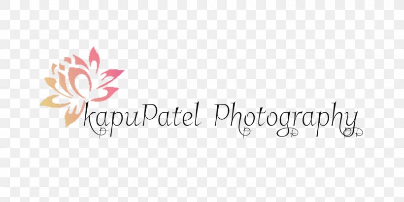 Photography Photographer Camera, PNG, 1500x750px, Photography, Brand, Camera, Chef, Computer Download Free