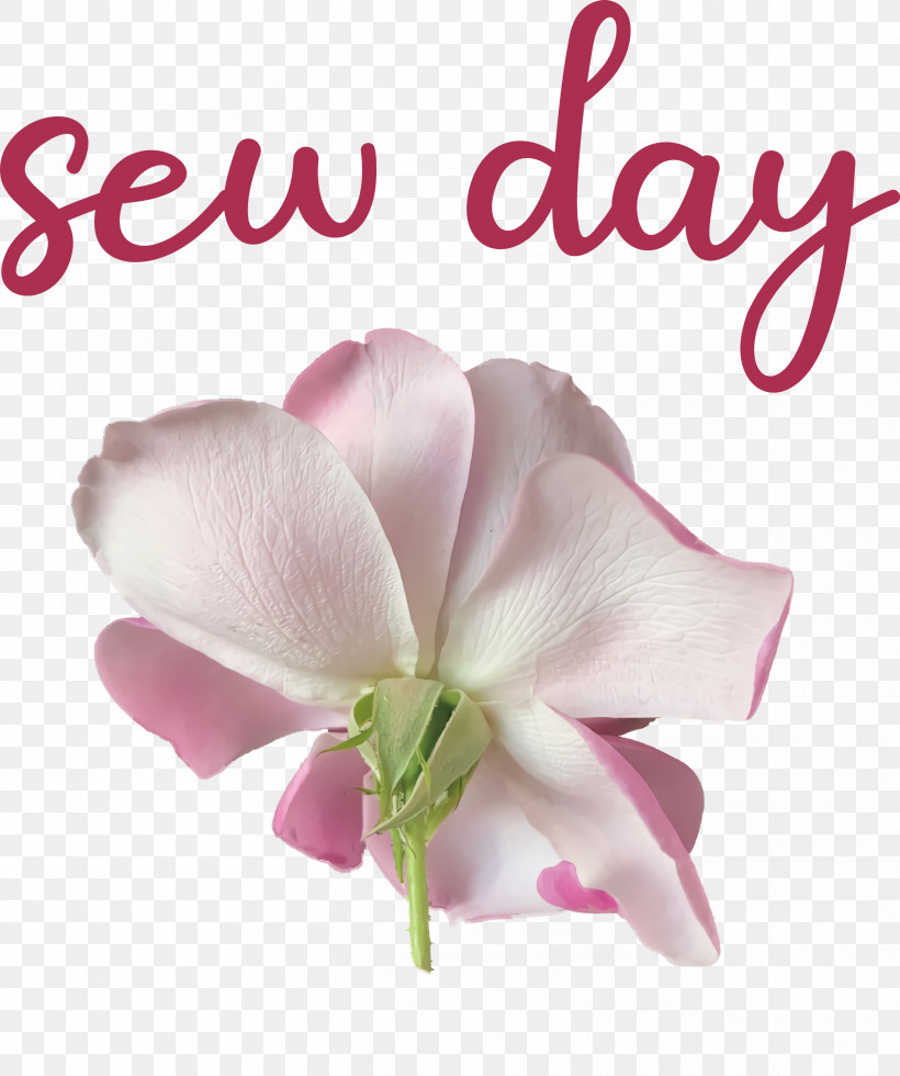 Sew Day, PNG, 2510x3000px, Cut Flowers, Biology, Flower, Herbaceous Plant, Meter Download Free