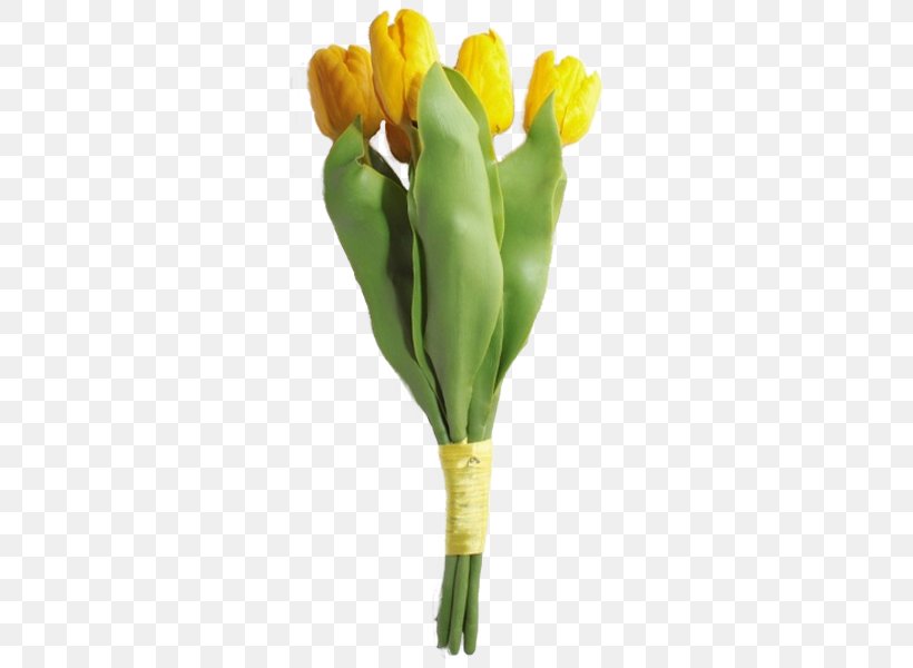 Tulip Flower Delivery Cut Flowers Plant Stem, PNG, 600x600px, Tulip, Bud, Cut Flowers, Flower, Flower Delivery Download Free