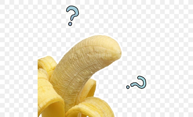 Banana Video Game Food, PNG, 500x500px, Banana, Anonymous, Banana Family, Eating, Food Download Free