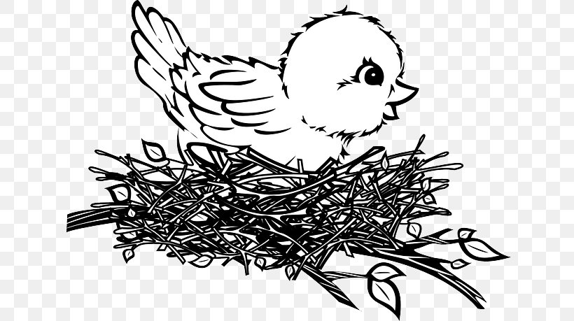 Bird Nest Drawing Clip Art, PNG, 640x459px, Bird, Art, Artwork, Beak, Bird Nest Download Free