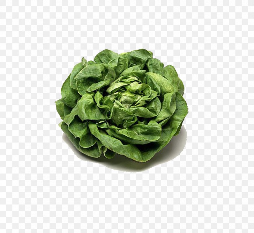 Kale, PNG, 854x784px, Cabbage, Food, Green, Kale, Leaf Download Free