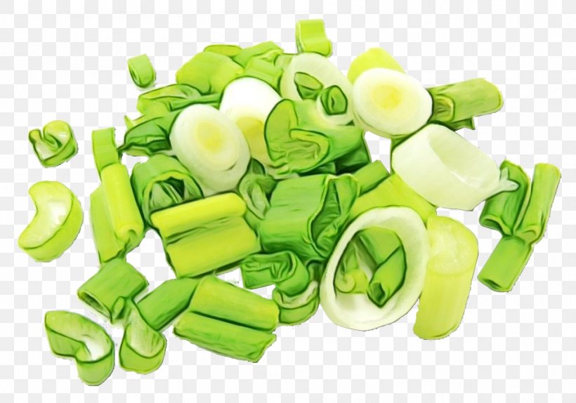 Allium Welsh Onion - Onion Cartoon PNG