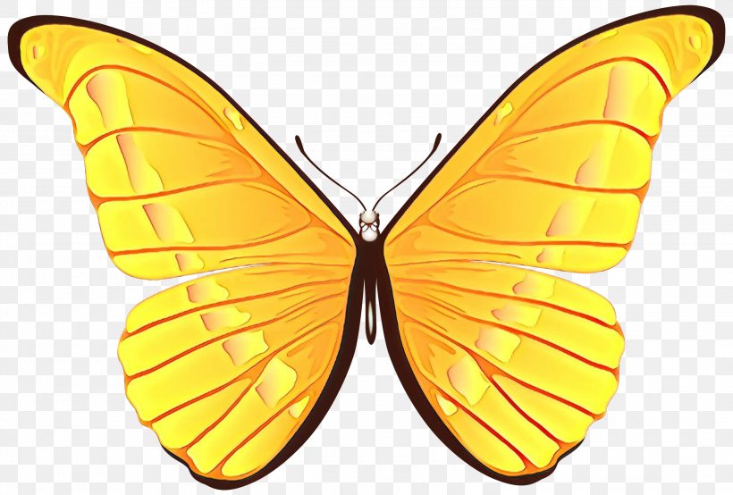 Orange, PNG, 3000x2030px, Cartoon, Butterfly, Insect, Moths And Butterflies, Orange Download Free