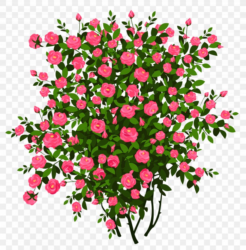 Rose Shrub Drawing Clip Art, PNG, 5002x5096px, Rose, Annual Plant, Artificial Flower, Branch, Cut Flowers Download Free