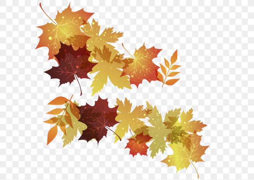 Maple Leaf Autumn Leaves, PNG, 600x581px, Maple Leaf, Autumn, Autumn Leaves, Coreldraw, Leaf Download Free