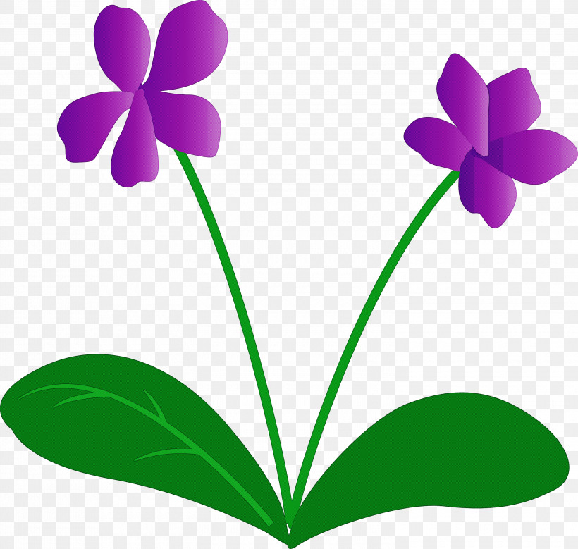 Violet Flower, PNG, 3000x2853px, Violet Flower, Biology, Flora, Flower, Grasses Download Free