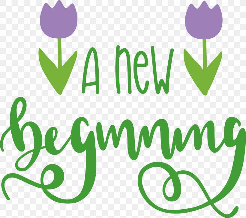 A New Beginning, PNG, 3000x2660px, Leaf, Flower, Green, Happiness, Line Download Free