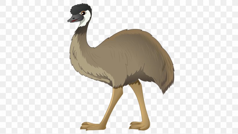 Common Ostrich Emu Drawing Photography, PNG, 1600x900px, Common Ostrich, Animaatio, Animal Figure, Animated Film, Beak Download Free