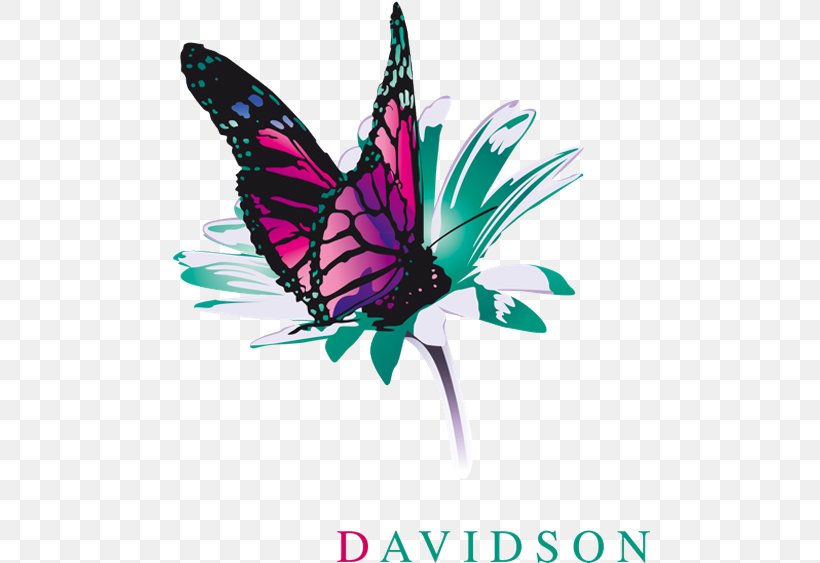 Davidson Luxembourg Consultant Adviesbureau Davidson Midi Pyrénées, PNG, 480x563px, Davidson, Adviesbureau, Brush Footed Butterfly, Butterfly, Chief Executive Download Free