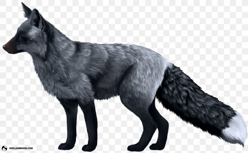 Domesticated Red Fox Silver Fox Arctic Fox Dog, PNG, 863x534px, Domesticated Red Fox, Arctic Fox, Black And White, Canidae, Canis Lupus Tundrarum Download Free