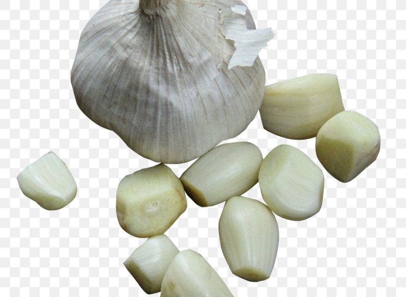 Garlic Bread Vegetable Solo Garlic Onion, PNG, 800x600px, Garlic Bread, Allium, Amaryllis Family, Black Garlic, Condiment Download Free