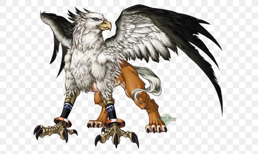 Legendary Creature Griffin Mythology Phoenix, PNG, 639x490px, Legendary Creature, Beak, Bird, Bird Of Prey, Cerberus Download Free