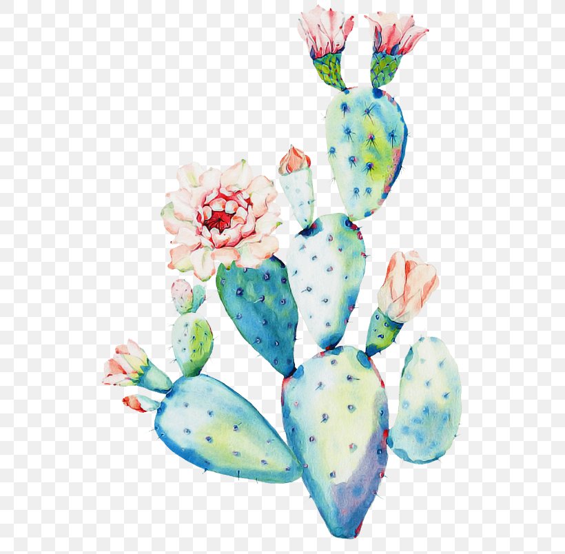 Cactus, PNG, 804x804px, Cactus, Plant, Succulent Plant Download Free