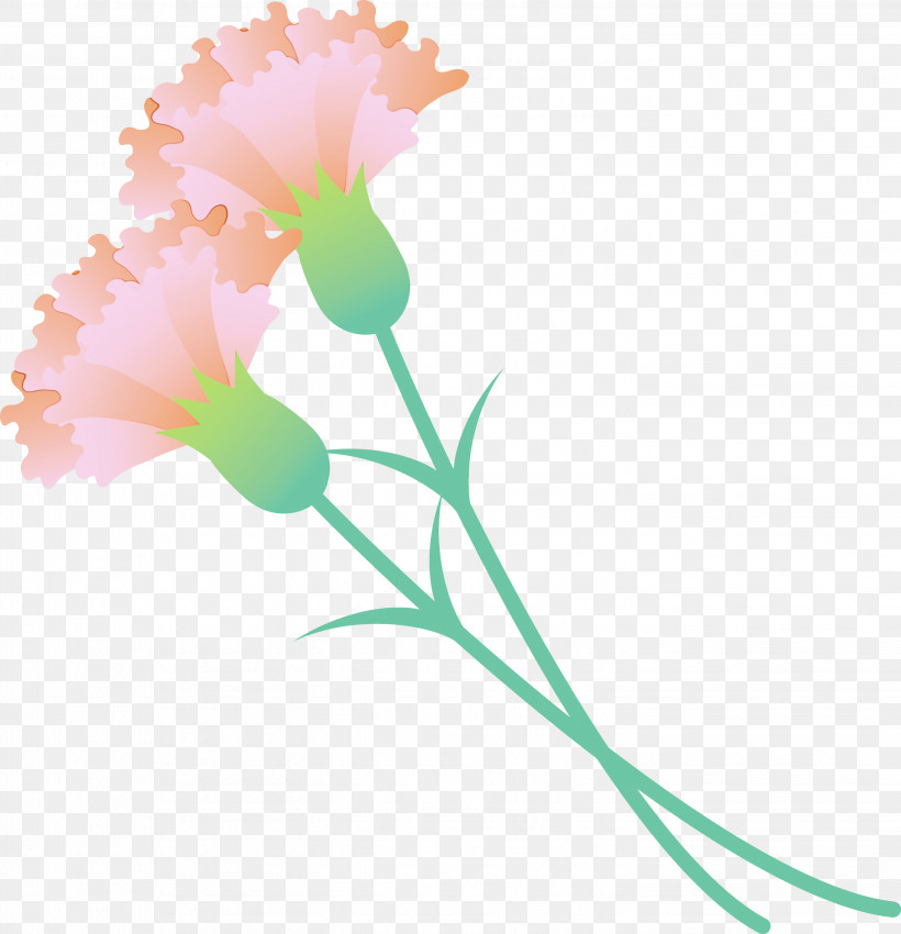 Flower Plant Pedicel Plant Stem Petal, PNG, 2891x3000px, Mothers Day Carnation, Cut Flowers, Flower, Mothers Day Flower, Paint Download Free