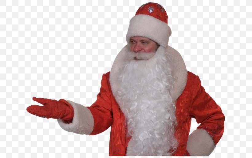 Santa Claus Christmas Ornament, PNG, 670x516px, Santa Claus, Christmas, Christmas Ornament, Facial Hair, Fictional Character Download Free