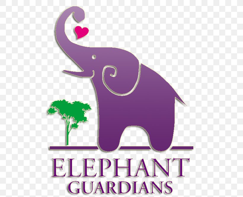 Indian Elephant Los Angeles Zoo Elephantidae Bull Circus, PNG, 518x665px, Indian Elephant, Bull, Circus, Donation, Elephant Download Free
